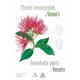 Plantes remarquables du Vanuatu