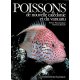 Poissons de NC et du Vanuatu