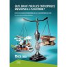 Quel droit pour les entreprises en Nouvelle-Calédonie ?