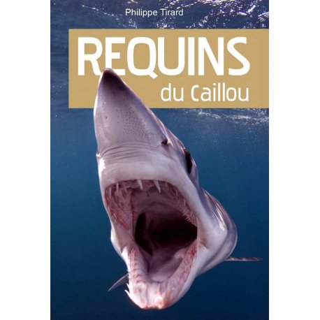 Requins du Caillou