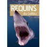 Requins du Caillou