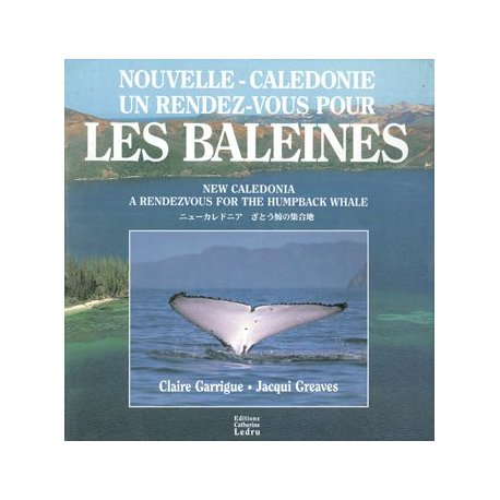 Rendez-vous avec les baleines (occasion)