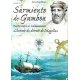 Sarmiento de Gambon. Navigateur et cosmographe (occasion)