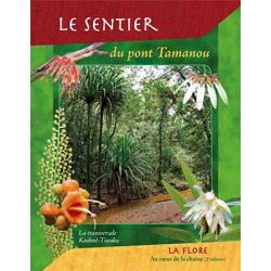 Le sentier du pont Tamanou - la flore