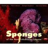 Sponges of New Caledonia lagoon