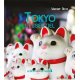 Tokyo l'essentiel