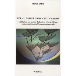 Vol au-dessus d'une chute rapide.