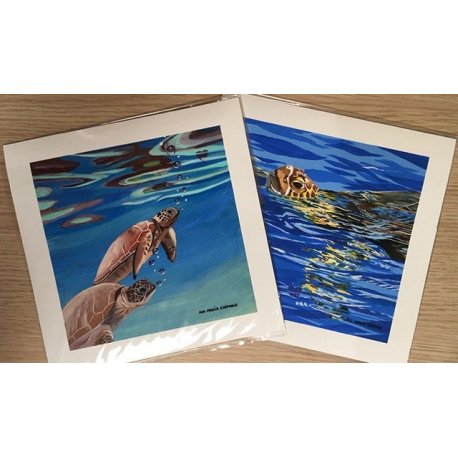 Reproduction d'art Asa Maria Chipman