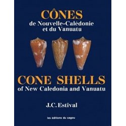 Cônes de Nouvelle-Calédonie et du Vanuatu