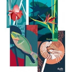 Carte postale (dessin de l'artiste Marie Luneau)