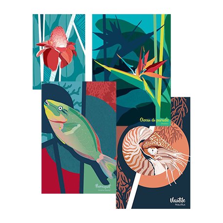 Carte postale (dessin de l'artiste Marie Luneau)