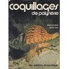 Coquillages de Polynésie