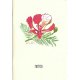 Carnet de notes Fleur de flamboyant