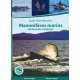 Mammifères marins de Nouvelle-Calédonie (épuisé)