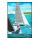 Affiche A3 Groupama race