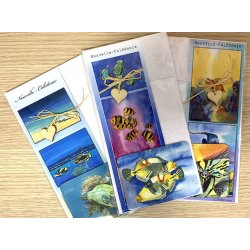 Lot souvenir Asa Maria Chipman