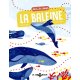 Suis du doigt, la baleine
