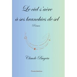 Le ciel s’aère à ses branchies de sel