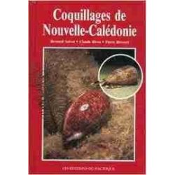 Coquillages de Nouvelle-Calédonie