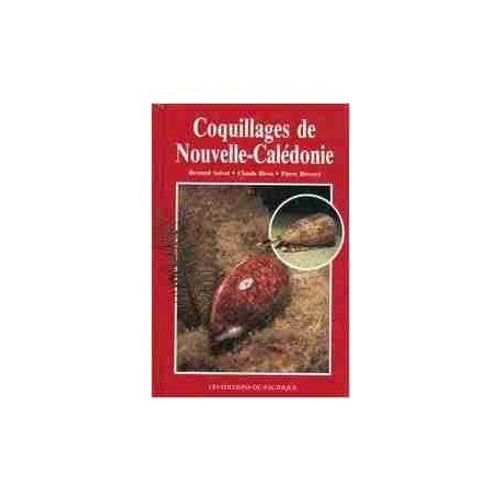 Coquillages de Nouvelle-Calédonie