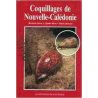 Coquillages de Nouvelle-Calédonie