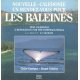 Rendez-vous avec les baleines