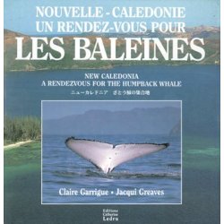 Rendez-vous avec les baleines