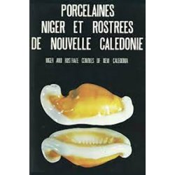 Porcelaines niger et rostrées de-Nouvelle-Calédonie
