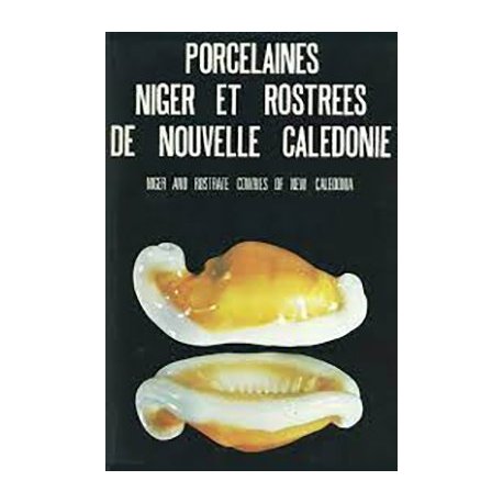 Porcelaines niger et rostrées de-Nouvelle-Calédonie