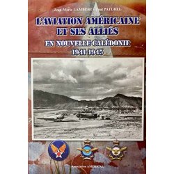L'aviation américaine et ses alliés (occasion)