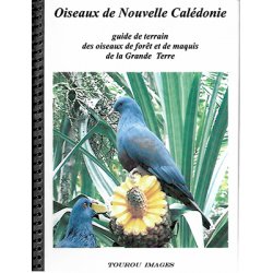 Oiseaux de Nouvelle-Calédonie