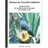Oiseaux de Nouvelle-Calédonie