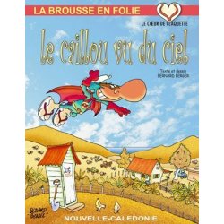 Le Caillou vu du ciel - T16