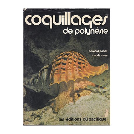Coquillages de Polynésie