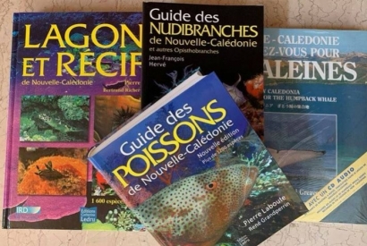 De nombreux livres sur la mer sont à découvrir à Calédo Livres !